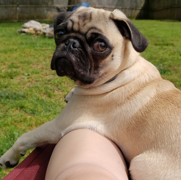 Meet your Posher, Alisha - Picture 7 of 9